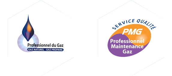 Logo Professionnel du Gaz et PMG